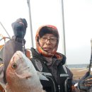 거제시일운면구조라보건진료소 이미지