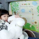 그린자동차샵
