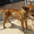 마루종합동물병원 이미지