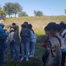 대구강림초등학교 이미지