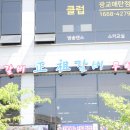 고기의기억 이미지