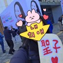 장상곡 | 영원한 곤듀 마츠다 세이코 내한 콘서트 후기(with 개허접 수제 우치와)
