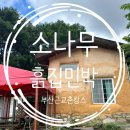 소나무민박 | 부산근교 촌캉스 계곡과 함께 즐길 수 있는 소나무흙집민박