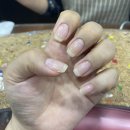 네일씨유