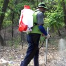 백로서식지 이미지