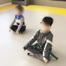 용인대 한울 태권도 이미지