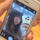 유헤이네일