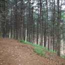 체육공원약수터 이미지