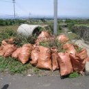 제주특별자치도개발공사(제2감귤공장) 이미지