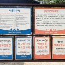 연곡해변 솔향기 캠핑장 티스토리