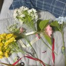 강변공원 | [셀프 웨딩스냅] 러브썸 아이폰스냅 - 대구 공항교 강변공원 셀프 웨딩촬영 후기 ★