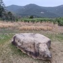 바닷가 숲속 이미지