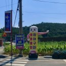 창원 물회 구산면맛집 일호명품물회