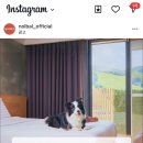 금하로14길 이미지