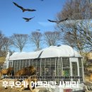 가-45 | 45개월 아이랑 후쿠오카 아프리칸 사파리 후기｜아이랑 가볼만한곳