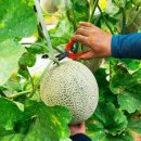 이상만농장 이미지