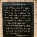 눈 내린 남한강변, 2024. 01. 10 이미지