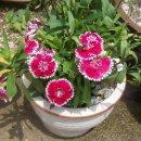 횟집아저씨 이미지