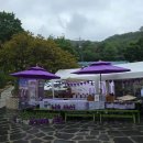 김밥나들이 | 라벤더축제 추천 | 느티나무사랑카페 &amp; 아뜰리에 올모 방문후기 | 라벤더 개화정보 | 화장실,수유실정보