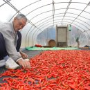 주천1리 이미지