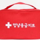 멍냥동물병원 이미지