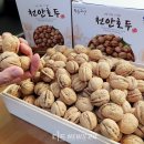 천안농업협동조합 광덕지점 이미지