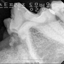 베스트 프렌즈 동물병원 이미지