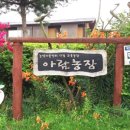 쇼핑아람