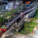 G3936 이미지