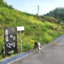 들꽃피는 언덕 | 횡성 맛집 추천 푸짐한 한식 밥상 &#39;들꽃피는언덕&#39;