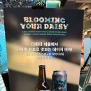 데이지 비어 팝업스토어 - 지드래곤 맥주 더현대 팝업 후기