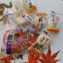 솔티농원 이미지