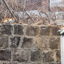 이디야커피용산청파점 이미지