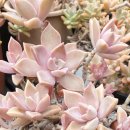 민이네농장 이미지