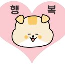 화니샐러드 네이버블로그