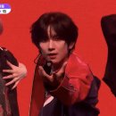 멍냥&꽁냥 | 보2플보는블로그(2)