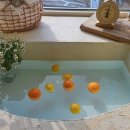 카페플로버 이미지