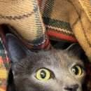 바라봄동물병원 이미지