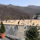 골든리트리버 강이와 함께하는 힐링타임, 남양주 신상 애견카페 &#39;몽글브라운&#39; 후기
