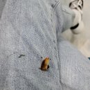 스카이골프존 이미지