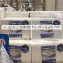 평택 코스트코 냉감이불 듀라론 비교! 패드 베게 바디필로우 종류, 할인정보