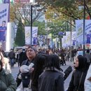 쇼핑코리아 이미지