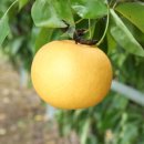 창조유통 이미지