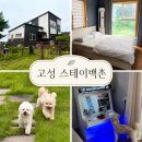 스테이백촌