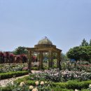 한밭수목원 이미지