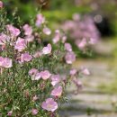 의령 안범준 고택 이미지