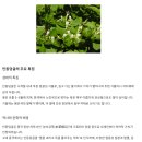 인동한의원 | 위궤양 증상 치료 원인 음식 완치 후기