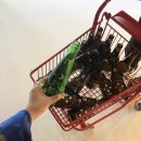 마블당구장 이미지