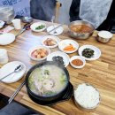 순자네식당 | 당진 읍내동맛집 &#39;순자네닭개장닭발삼계탕&#39; 삼계탕 닭개장 후기
