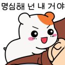 대구 웨딩촬영 비엔 스튜디오 촬영 완성본포함 솔직후기